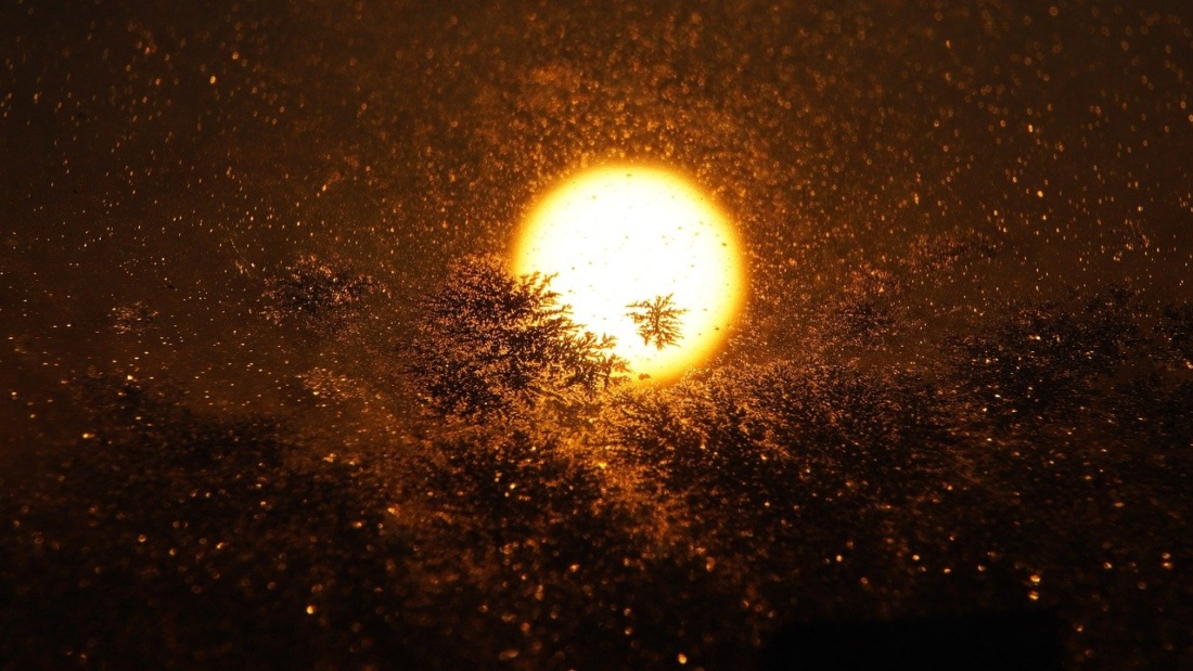 sunrise, backlighting, snow on window