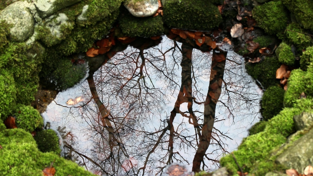 nature, source, fountain